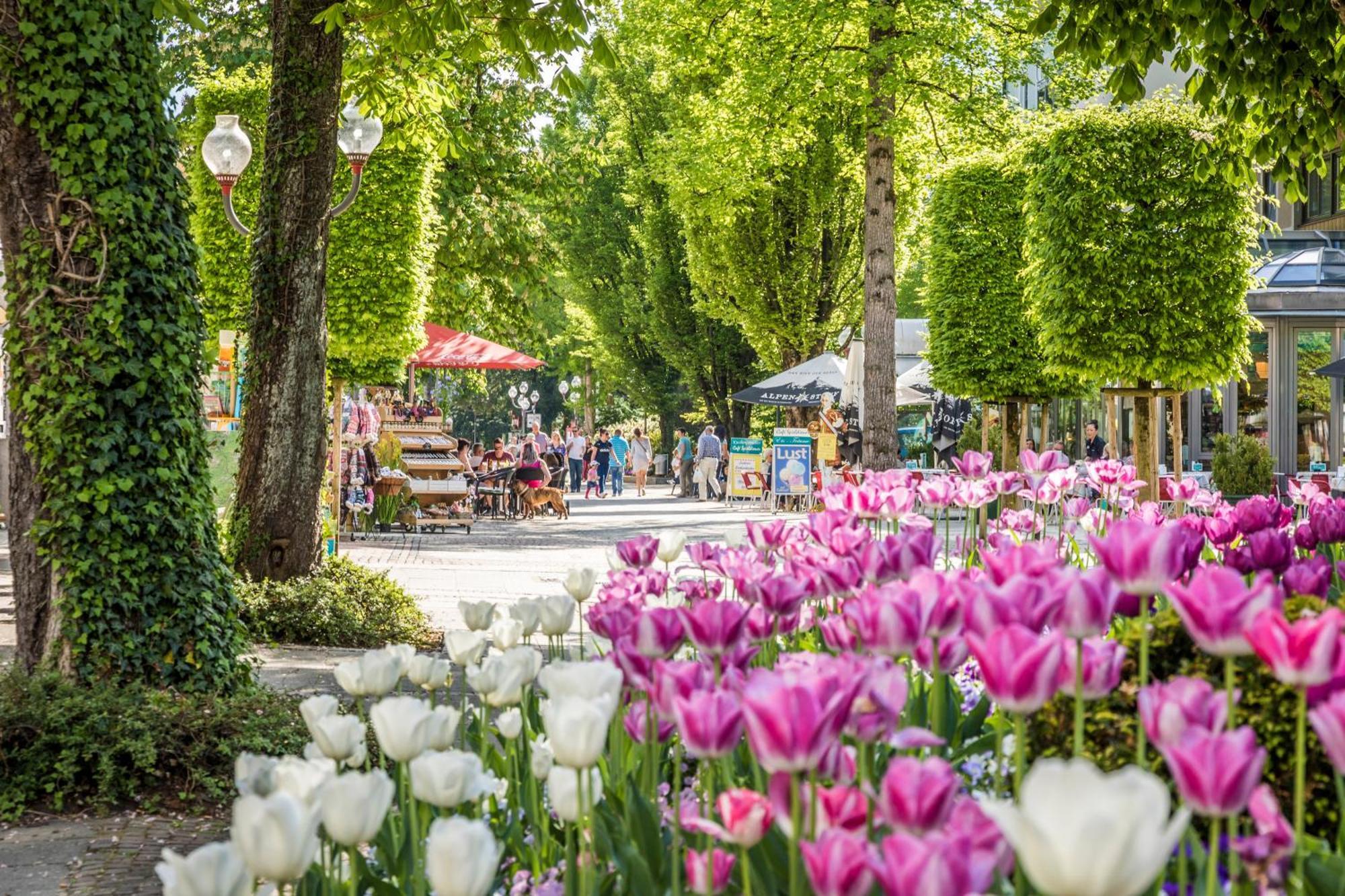 Villa Rein Boutiquehotel Bad Reichenhall Exterior foto